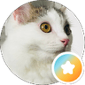 Neko