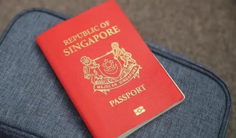 Singapore Citizenship Application